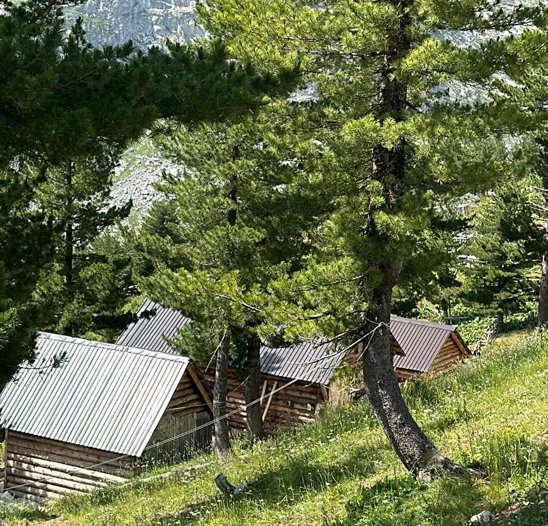 Guest House Kolata View Tropoje