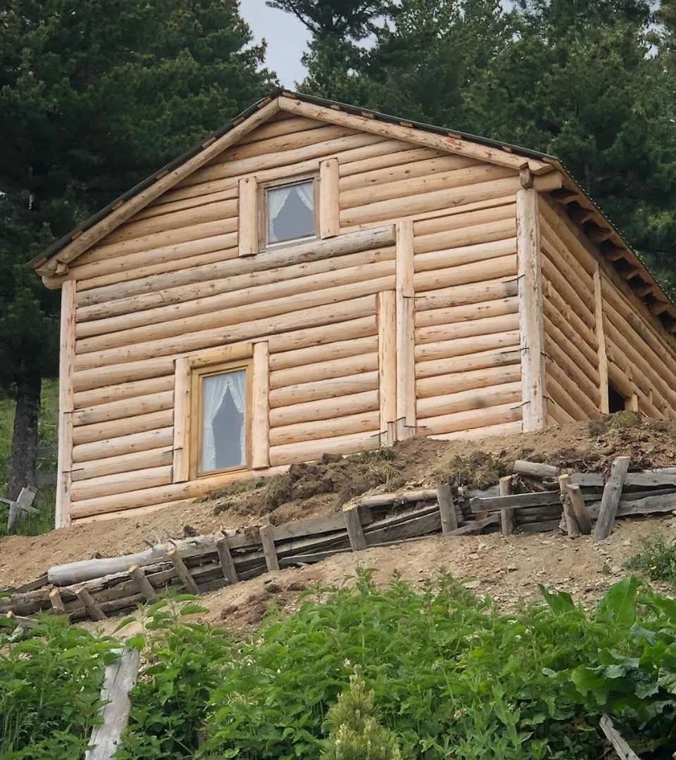 Guest House Kolata View Tropoje 0*,  Albania