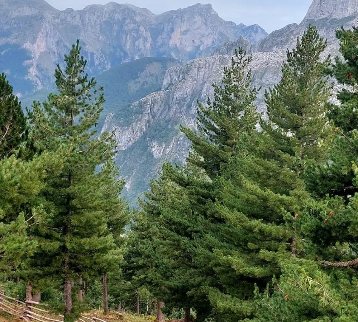 Chalet Guest House Kolata View Tropoje