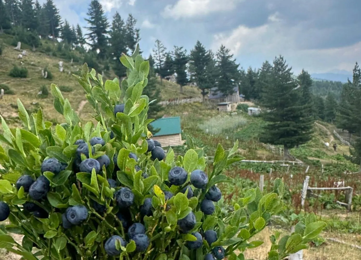 Guest House Kolata View Tropoje 0*,  Albanië